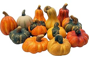 khevga Herbstdeko Zierkürbis Deko-Kürbisse aus Terracotta 12er Set