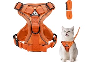 Grantop: Regulowana uprząż dla kotów, odporna na zerwanie, ze smyczem, miękka, pomarańczowa, rozmiar M