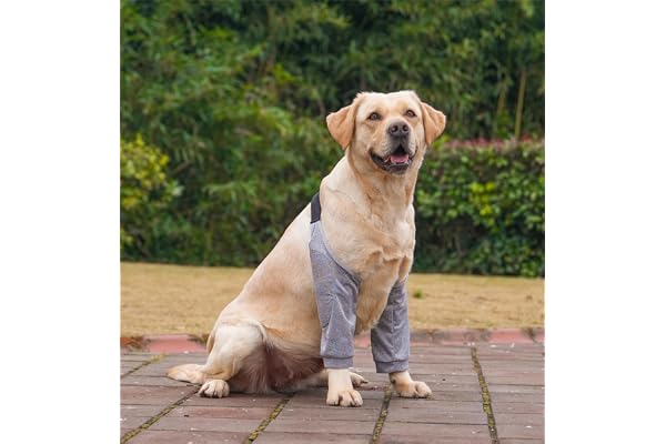 Dog Elbow Protector Pad, Dog Elbow Protector for Calluses, 2XL Dog Recovery Suit for Front Legs, Soft Recovery Sleeves with Elastic Band, Knee Brace Protector Pads for 27-42kg Dogs Stop Licking Wounds