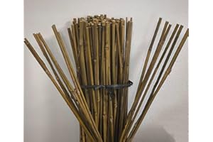 Suinga Pack 500 Tutores de Bambú 90 cm (8-10 mm) | Varillas Resistentes para Plantas, Árboles y Hortalizas | Soporte para Plantas, Tomates | Tutores para Plantas trepadoras