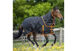 Gallop Equestrian Gallop Trojan Lightweight Dual 100g Horse Turnout Rug & Detachable Neck Set (5'9'', Black/Orange)