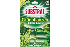 Substral Bâtons d'engrais pour Plantes Vertes Pack de 60