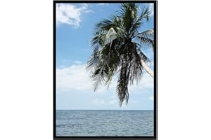 RK CADRES Cadre Photo Mural 35x35 cm / 35 x 35 cm Cadres Noir, 2 cm de Largeur, Cadre en Bois