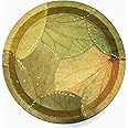 ZEGEL Natural Patravali Pattal Vistaraku | Sal Leaf Plates | Moduga Leaf Plate | Palash Meal Plate | Dakh Food Plates |Dhakh Patti Food Plate | Chool Patti Pattal | Desi Patri (20Pcs)