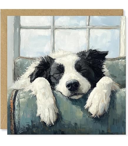 Adaptateur CRC9 Femelle Vers SMA Mâle/femelle - Connecteur RF 50 Ohm, Laiton Doré, 1 An Garantie