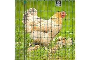 Rete Per Pollame Zincata | Rete Di Protezione Per Polli Da 14 Pollici/calibro 19 | Tutte Le Dimensioni - Foto 12