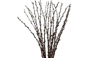 AIRBOOM frischer natürlicher WEIDENKÄTZCHEN Bund 70cm. Hochzeitsdeko Osterdeko Frühlingsstrauß (1)