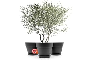 ‎BIGDEAN BigDean 3 Stück Blumentopf mit Untersetzer rund ø40 cm in Anthrazit – Übertopf innen + außen geeignet – aus bruchsicherem Kunststoff & Made in Europe