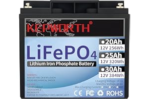 FLLEEYPOWER 20Ah 12V Batería de Litio LiFePO4 Ciclo Profundo 4000 Veces Recargable fosfato de Litio y Hierro con BMS para Sistema de Alarma, RV, Stock de Energía Solar,Aplicación Fuera de la Red