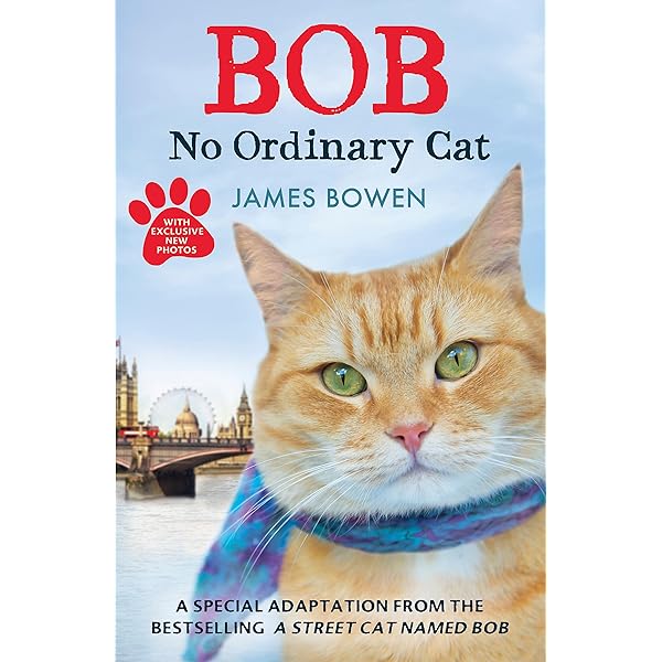 A Street Cat Named Bob: Amazon.co.uk: Luke Treadaway, Ruta
