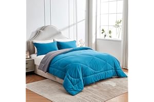 beeweed Piumino 4 Stagioni Letto Singolo 135x200, Reversibile Piumone Autunnale Invernale 135 x 200 - Trapunta 200x135, Microfibra Sintetica 300 GSM, 1 Federe(50x80cm)