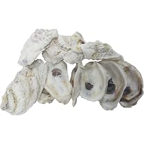 Natural Oyster Shells - 20 Pieces, 3.75-5 Inches Each - Craft & Home Decor Seashells - View #8