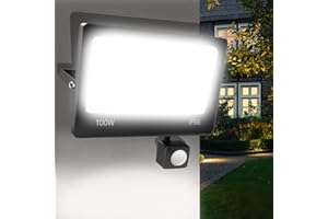 ANNIFUNLY LED Spotlight with Motion Sensor Outdoor, 100 W, 10000 LM, Super Bright Outdoor Spotlight, 6500 K, Cool White, LED Floodlight, Outdoor Lamp, IP66 Waterproof, Outdoor Light, Headlight for