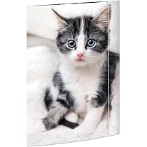 RNKVERLAG Dolphin Drawing Folder - DIN A3 Size (310x440mm) With Elastic Closure, Sturdy Cardboard, Pack Of 1