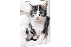 ‎RNK - VERLAG RNK 45331 Folder with Elastic Closure, Cat, 310 x 440 mm DIN A3, Pack of 1