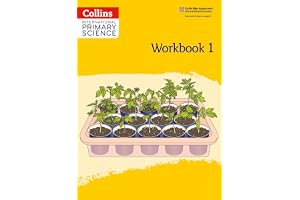 International Primary Science Workbook: Stage 1