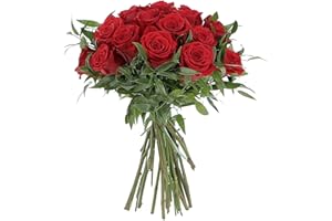 KENTIS - Bouquet 24 di Rose Rosse a Stelo Lungo 50 cm - Mazzo di Fiori Freschi a Domicilio in Italia - Rose Vere Regalo