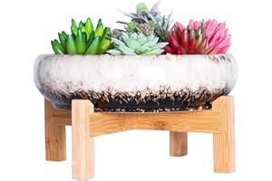 ARTKETTY Cuenco Grande para Plantas suculentas con Soporte, Maceta de cerámica para bonsái con Pantalla de Drenaje, contenedor para Plantas de Flores de Cactus