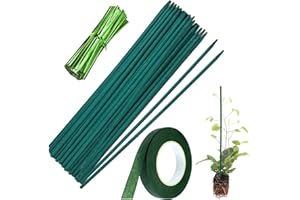 DOGMOON Varillas de soporte para plantas, 50 varillas de guisante, 30 cm de bambú verde con cinta de floristería de 30 yardas, 50 lazos ajustables para plantas pequeñas de apoyo