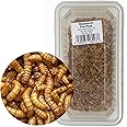 Livefoods4u Live Mealworm 60g Tub (20-30mm) - Live Food for Reptiles & Garden Birds