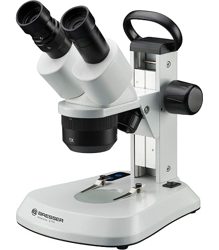 Bresser 5102000 - Erudit, microscopio DLX 40x-1000x