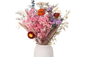 ‎XIALVYU Xialvyu 30 Stück 9 Stile Trockenblumen Deko Set,Getrocknete Blumen,Natürliche Lila Schleierkraut Blumenstrauß Boho Dekoration,Dried Flowers Pflanzen für Kunst Wohnzimmer Hochzeit Tischdeko (Rosa)