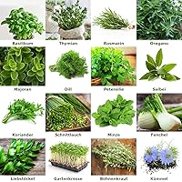 Mischung/Mix/Set"Kräutergarten/Küchenkräuter" 16 x Samen der beliebtesten Kräuter aus Portugal / 100% Natur Oregano…