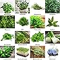 Mischung/Mix/Set"Kräutergarten/Küchenkräuter" 16 x Samen der beliebtesten Kräuter aus Portugal / 100% Natur Oregano…