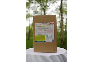 5 LITRES - SÈVE DE BOULEAU LACTO-FERMENTÉE PREMIUM - ARBRES ET AVENIR - Boisson Bio et Végétale, Boisson détox 100% naturelle, Cures Détox et Cures de Printemps, d’Hiver et d'Automne