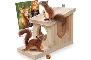 wildtier herz | Mangeoire Écureuil en Bois Massif I Distributeur de Nourriture - Imperméable et Résistant aux Intempéries - Mangeoire pour Écureuils