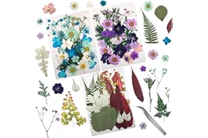 Cinvo 90 Stück echte Blumen und gepresste Blätter, getrocknet, natürliche Blütenblätter, getrocknet, für Kerze, Kunstharz, Schmuck, Seife, Anhänger für Nägel, Telefon Handwerk