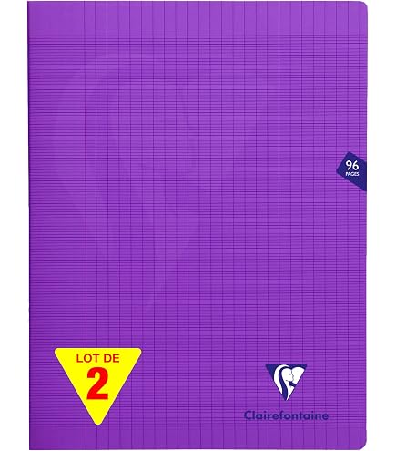 Cahier Calligraphe 8000 Polypro 96 Pages - Format 24x32 Cm, Papier 90g Violet, Neuf Sous Blister