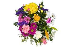 Homeland Florists Bright Variety Fresh Mixed Flower Bouquet - Flowers Delivery Next Day - Send a Cheery Fresh Mixed Bunch as a Get Well or Thank You Gift
