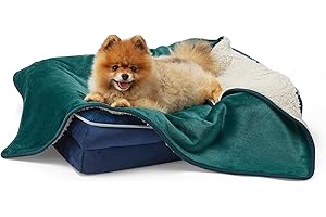 LE SURE Lesure Couverture Imperméable pour Petits Chiens et Chats - 80x60cm, Lavable, Protection de Canapé, Douce et Moelleuse, Vert Foncé