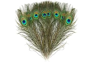 MWOOT 15 Pezzi Naturali Piume di Pavone Pavone Piume di Coda, per i monili Domestici della Decorazione di DIY Carnevale di Venezia Tutti i Festival Halloween Artigianato Forniture (28-32CM)