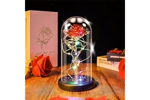 Ptesuply Beauty and The Beast Rose Lamp In the Glass Dome, Eternal Rose Artificial Flower with LED Light, Gift for Women Girl for Birthday Valentine's Day Mother's Day Christmas Anniversary