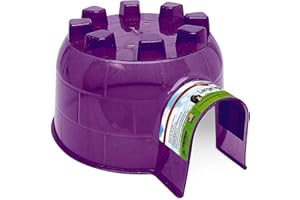 INTERPET LIMITED spp60406-v0parent