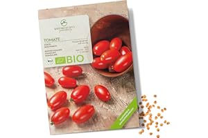 GROWGREENS Semi di pomodoro biologici (Principe Borghese) - Semi di pomodoro da coltivare in giardino, sul balcone e sul orto rialzato