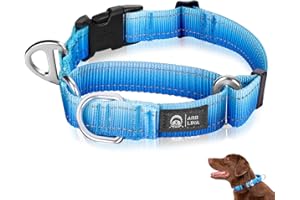 Arblina Martingale Hundehalsband, Reflektierendes Zugstopp Halsband Hunde für Große Mittlere und Kleine Hunde, Nylon Zughalsband mit Stopp für Hunde Whippets, Greyhounds, Saluki, Blau,S