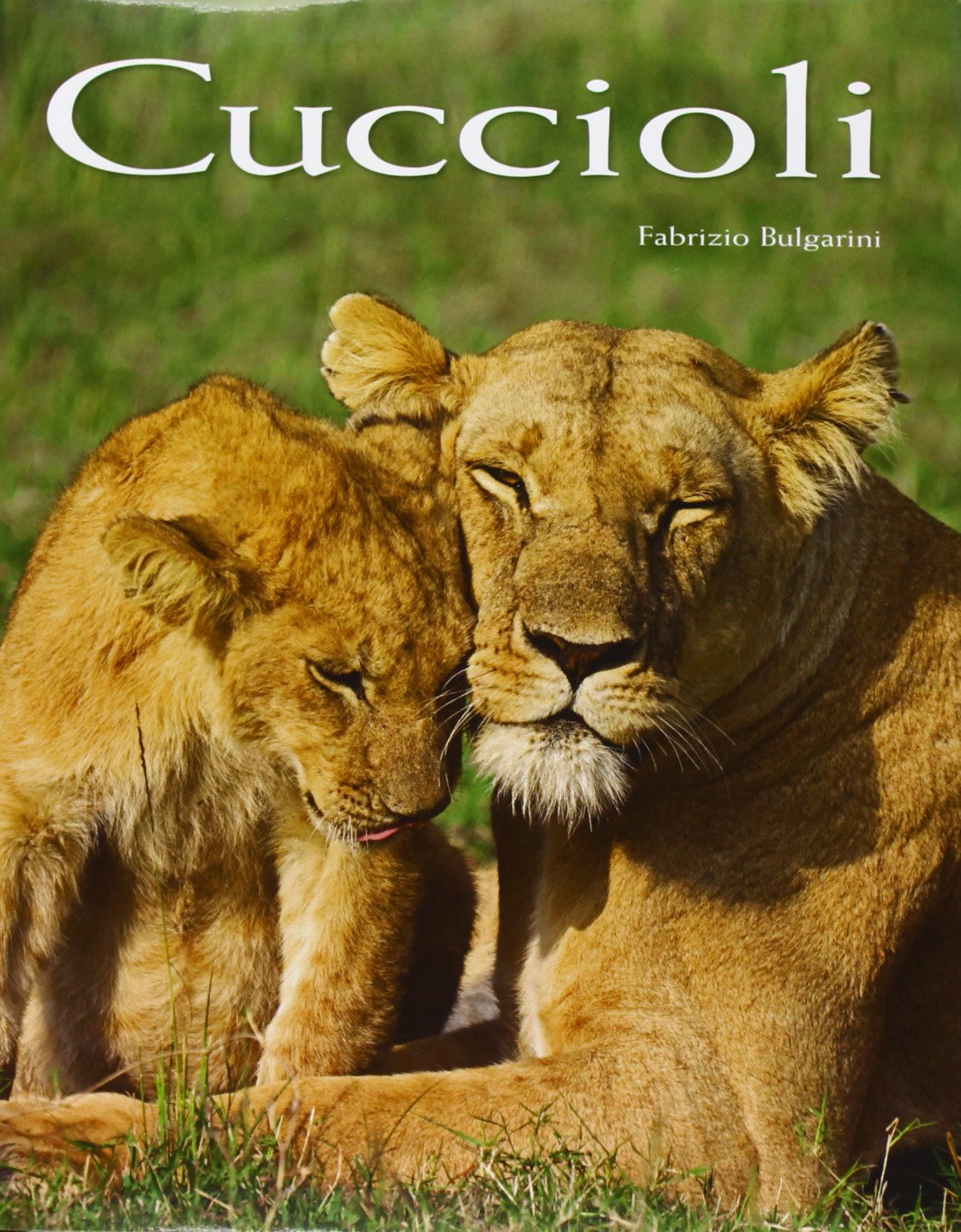 Cuccioli. Ediz. illustrata