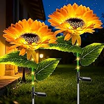 Giardino Proprietà Paesaggio Illuminazione Luce So... – Grandado - Foto 10