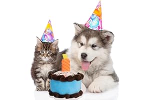 AKlamater Cat Catnip Toys Pet Birthday Cake for Cat Teething Chew Toys for Kitten Plush Gift for Cats Kitten (S)