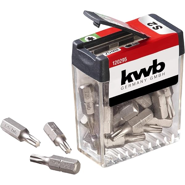 Bosch Accessories Professional Bit Extra-Hart für Innen-Torx ダイアナガードル LL76