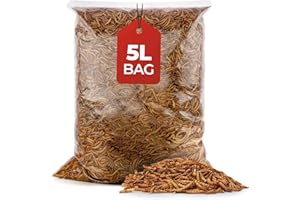 Beewarm Premium Wild Bird Food – Meal Worms for Garden Birds – High Energy, No Mess Bird Feed (5L Bag, Mealworms)