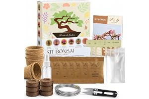 L&G – Komplett bonsaikit för odling – 6 frön 100 % naturliga – trädgårdsskötsel och inredning – bonsai nybörjarsats och miljövänlig presentidé