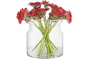 TREND FOR HOME Vaso Vetro Cilindrico A: 19 cm Vaso Cilindro Vetro Trasparente per Rose Erba di Pampa Vaso Basso e Largo Vaso Fiori Decorazioni Matrimonio | Ø 19 cm | 4640 ml | Sunflower