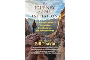 The Journey of Soul Initiation: A Field Guide for Visionaries, Evolutionaries, and Revolutionaries