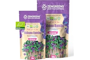 zengreens® - Semillas de rábano Rambo ecológico - Elija Entre 10g, 200g y 500g - brotes de rábano - germinación de más del 97% - Microgreens