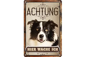 LUCKYLINDE 30 x 20 cm wetterfestes Blechschild, Warnhinweis, Torschild, Achtung, hier Wache ich! Warnung vor dem Hund (Border Collie)