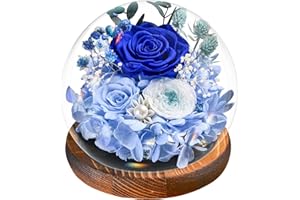 TOULOUBE Regali Natale - Rosa Blu Stabilizzata Vera Regalo Donna, Avanzate Regalo, Eterna Fiore con Luci LED, Idea Perfetta per Compleanno, Anniversario, Festa della Mamma, Dedica a Mamma, Nonna e Fidanzata​